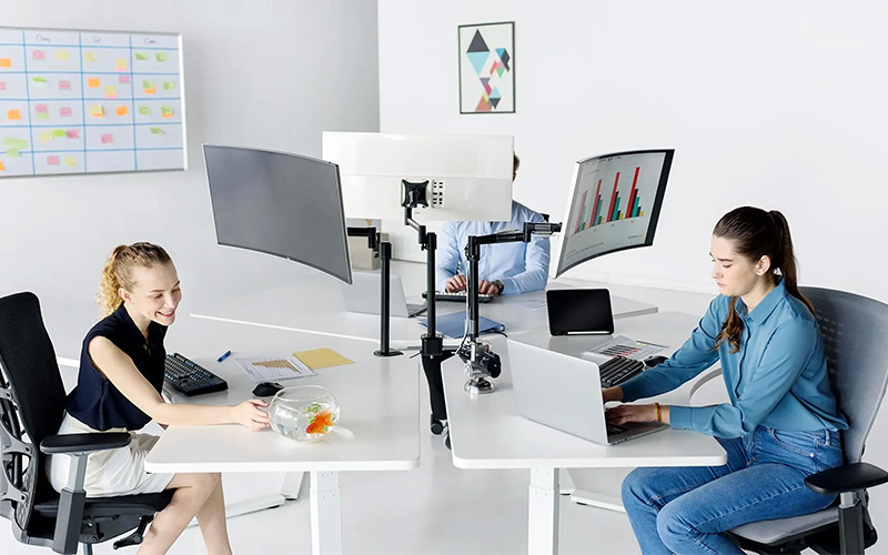 ghế công thái học hà nội